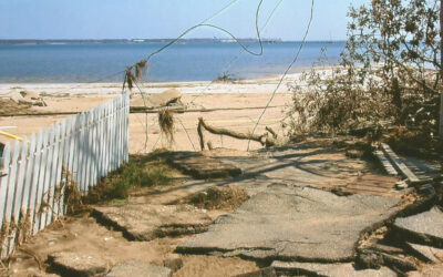 Standing in the Path of Hurricane Katrina’s Fury 